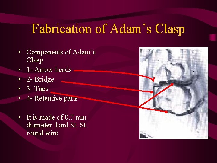 Fabrication of Adam’s Clasp • Components of Adam’s Clasp • 1 - Arrow heads