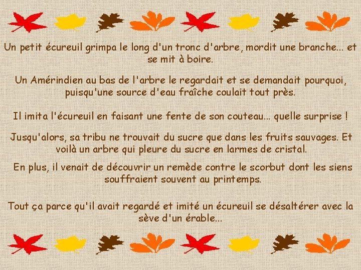 Un petit écureuil grimpa le long d'un tronc d'arbre, mordit une branche. . .