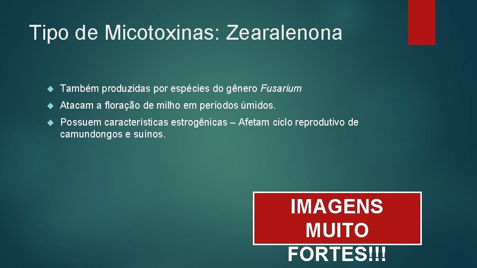 Tipo de Micotoxinas: Zearalenona Também produzidas por espécies do gênero Fusarium Atacam a floração
