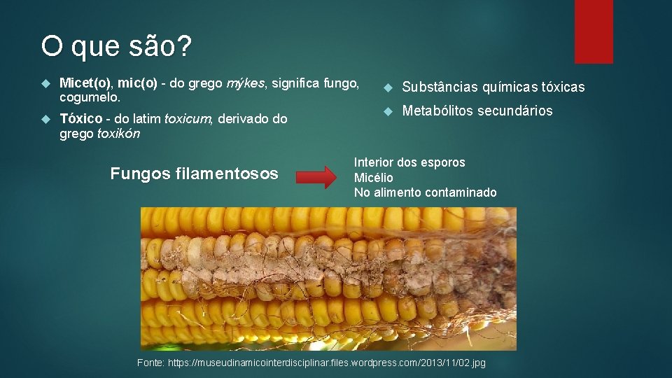 O que são? Micet(o), mic(o) - do grego mýkes, significa fungo, cogumelo. Tóxico -