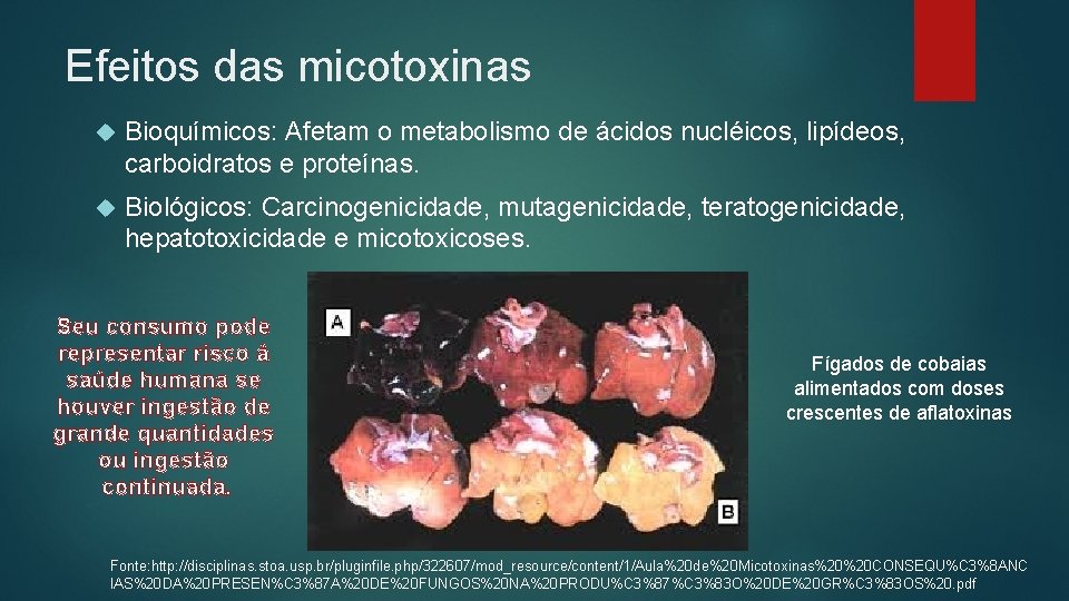 Efeitos das micotoxinas Bioquímicos: Afetam o metabolismo de ácidos nucléicos, lipídeos, carboidratos e proteínas.