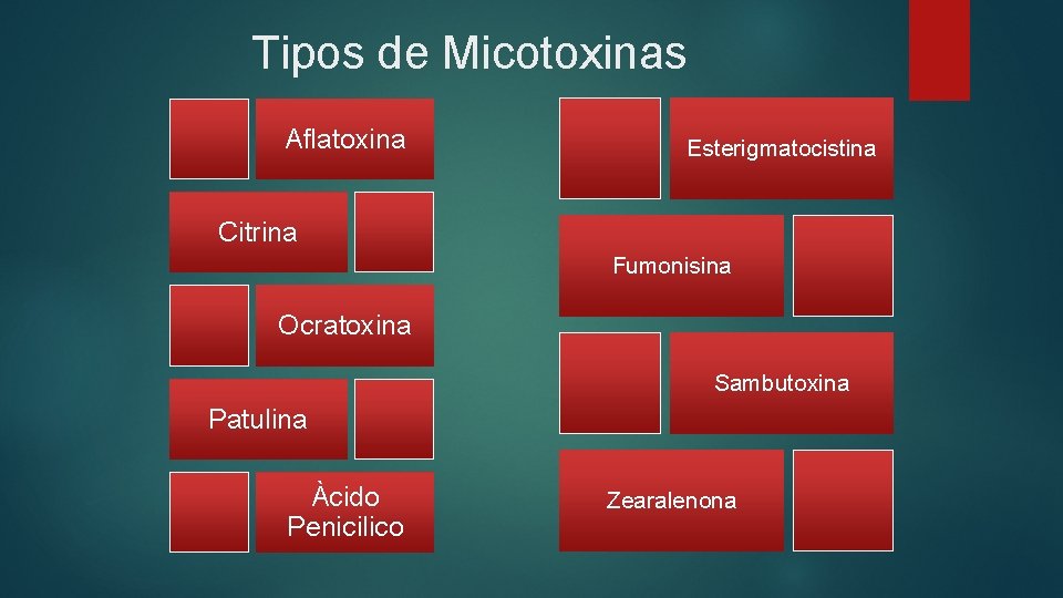 Tipos de Micotoxinas Aflatoxina Esterigmatocistina Citrina Fumonisina Ocratoxina Sambutoxina Patulina Àcido Penicilico Zearalenona 