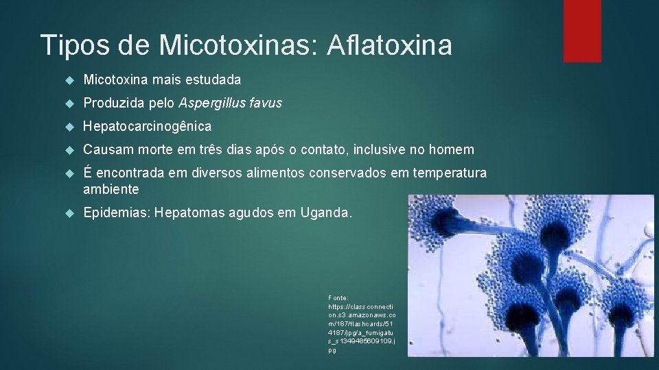 Tipos de Micotoxinas: Aflatoxina Micotoxina mais estudada Produzida pelo Aspergillus favus Hepatocarcinogênica Causam morte