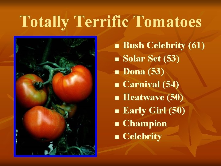Totally Terrific Tomatoes n n n n Bush Celebrity (61) Solar Set (53) Dona