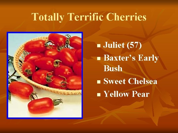 Totally Terrific Cherries Juliet (57) n Baxter’s Early Bush n Sweet Chelsea n Yellow