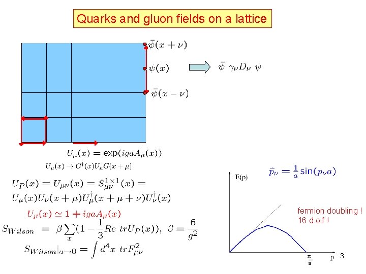 Quarks and gluon fields on a lattice fermion doubling ! 16 d. o. f