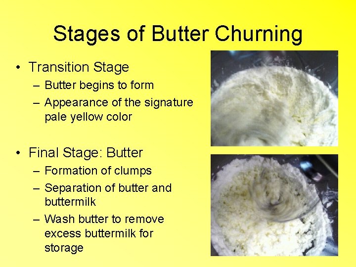 Stages of Butter Churning • Transition Stage – Butter begins to form – Appearance