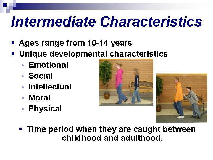 Intermediate Characteristics § Ages range from 10 -14 years § Unique developmental characteristics •