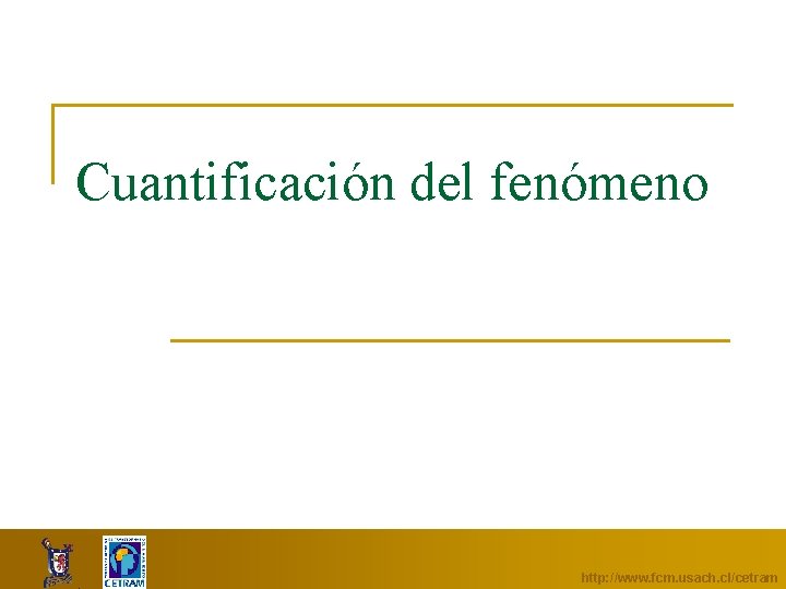 Cuantificación del fenómeno http: //www. fcm. usach. cl/cetram 