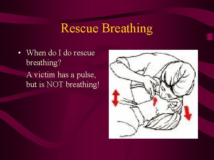 Rescue Breathing • When do I do rescue breathing? A victim has a pulse,