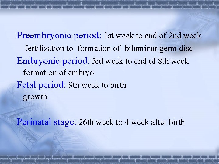 Preembryonic period: 1 st week to end of 2 nd week fertilization to formation