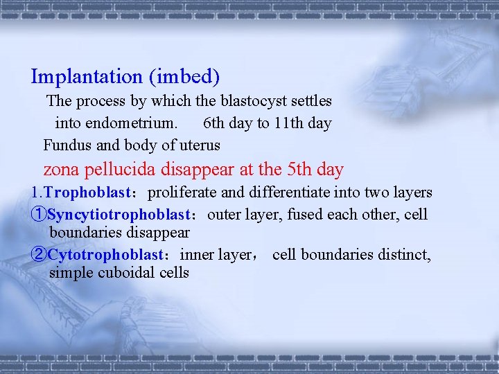 Implantation (imbed) The process by which the blastocyst settles into endometrium. 6 th day