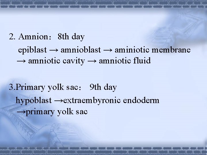 2. Amnion： 8 th day epiblast → amnioblast → aminiotic membrane → amniotic cavity