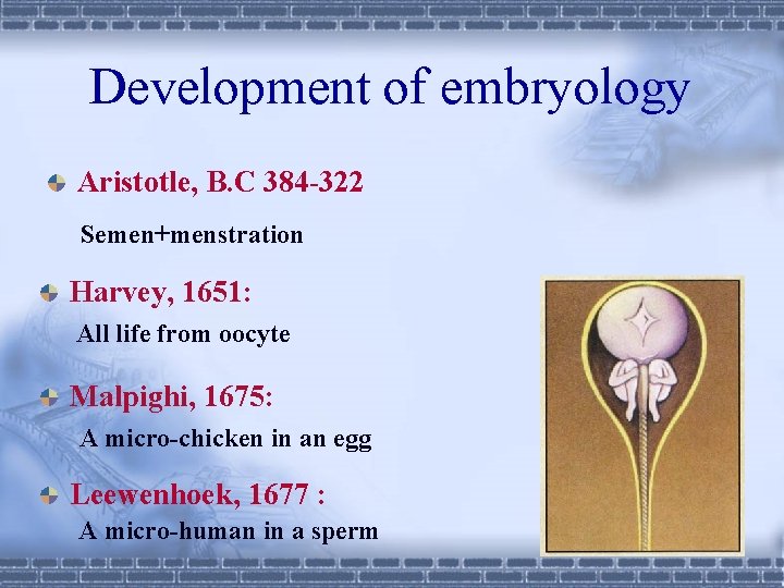 Development of embryology Aristotle, B. C 384 -322 Semen+menstration Harvey, 1651: All life from