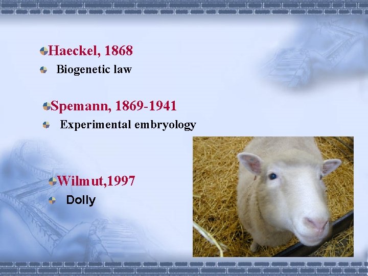 Haeckel, 1868 Biogenetic law Spemann, 1869 -1941 Experimental embryology Wilmut, 1997 Dolly 