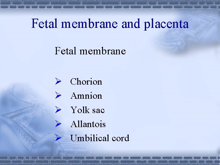 Fetal membrane and placenta Fetal membrane Ø Ø Ø Chorion Amnion Yolk sac Allantois