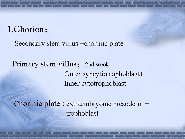 1. Chorion： Secondary stem villus +chorinic plate Primary stem villus： 2 nd week Outer