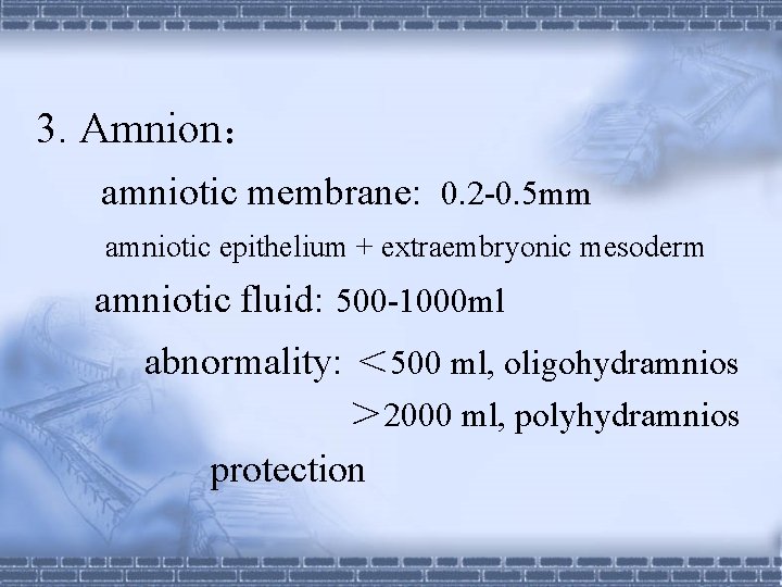 3. Amnion： amniotic membrane: 0. 2 -0. 5 mm amniotic epithelium + extraembryonic mesoderm