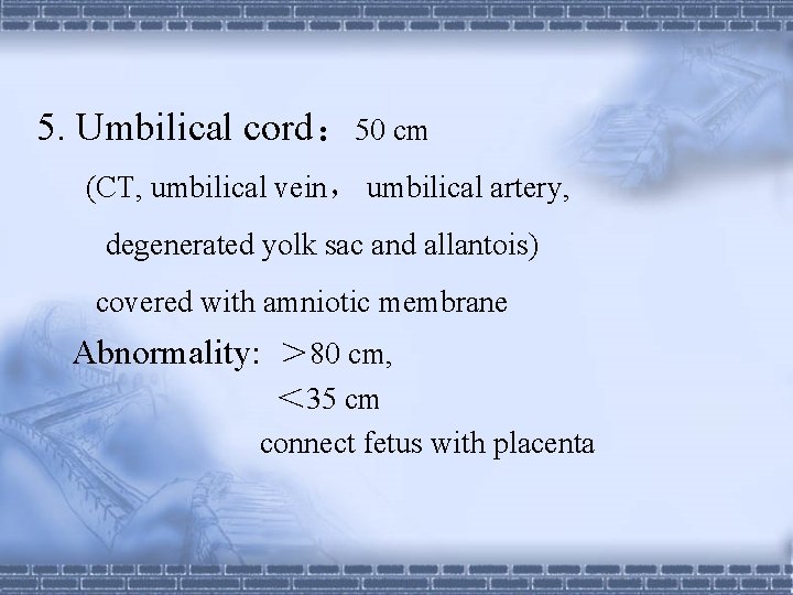 5. Umbilical cord： 50 cm (CT, umbilical vein， umbilical artery, degenerated yolk sac and