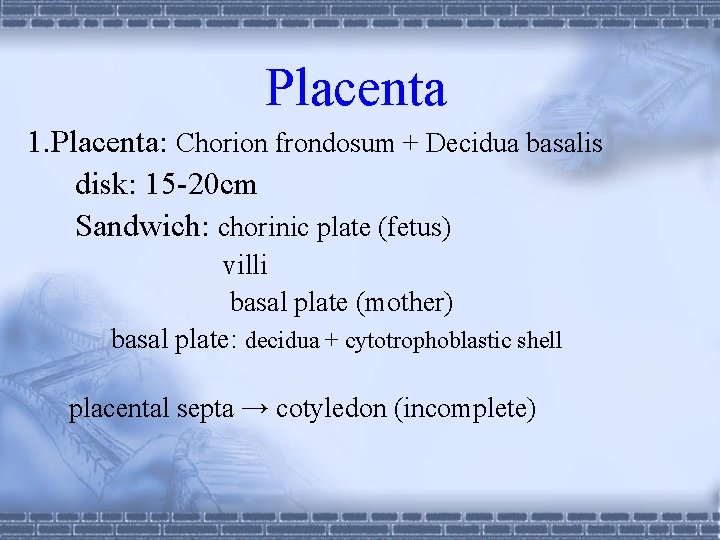 Placenta 1. Placenta: Chorion frondosum + Decidua basalis disk: 15 -20 cm Sandwich: chorinic