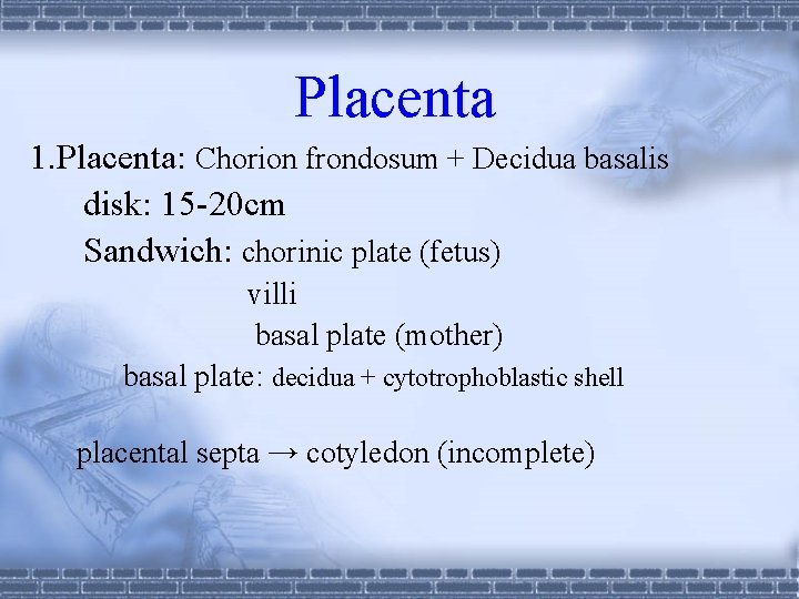 Placenta 1. Placenta: Chorion frondosum + Decidua basalis disk: 15 -20 cm Sandwich: chorinic