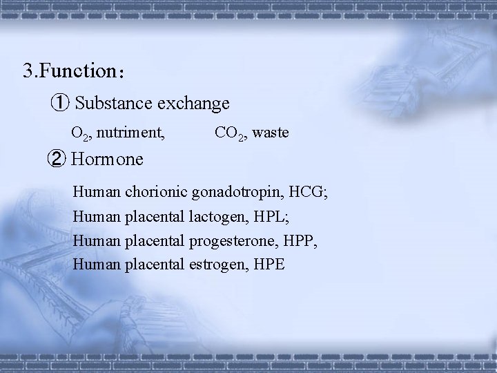 3. Function： ① Substance exchange O 2, nutriment, CO 2, waste ② Hormone Human