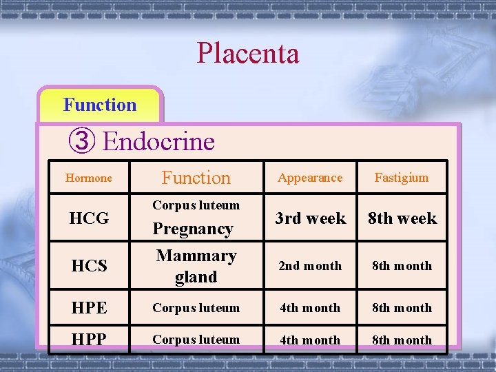 Placenta Function ③ Endocrine Hormone HCG HCS Function Corpus luteum Pregnancy Mammary gland Appearance