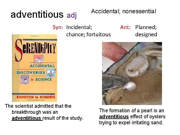 adventitious adj Accidental; nonessential Syn: Incidental; chance; fortuitous The scientist admitted that the breakthrough