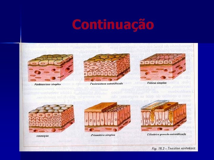 Continuação 