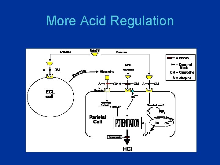 More Acid Regulation 