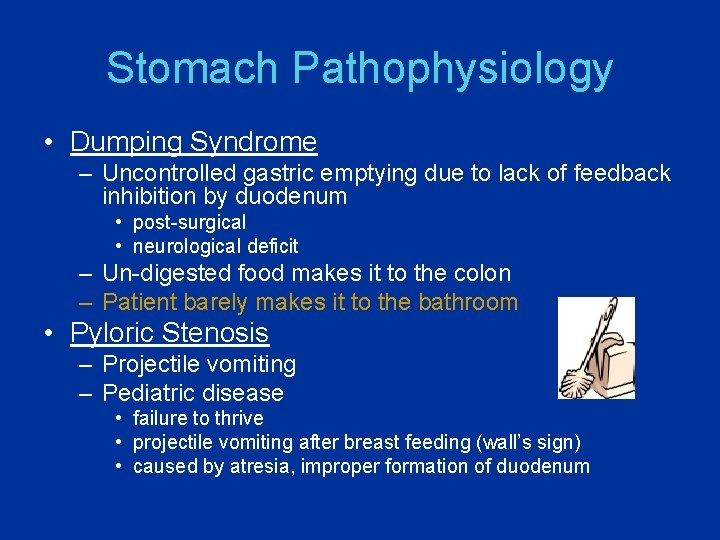 Stomach Pathophysiology • Dumping Syndrome – Uncontrolled gastric emptying due to lack of feedback