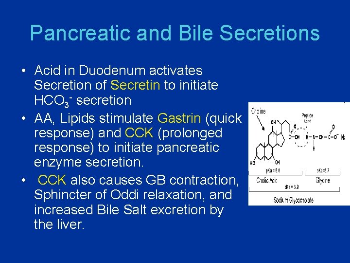 Pancreatic and Bile Secretions • Acid in Duodenum activates Secretion of Secretin to initiate
