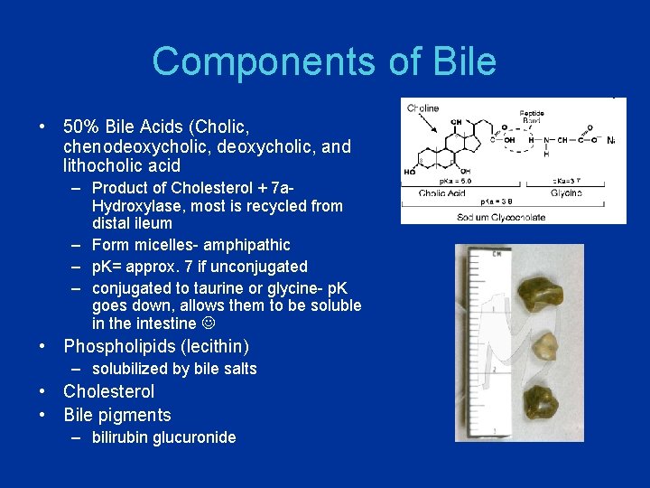 Components of Bile • 50% Bile Acids (Cholic, chenodeoxycholic, and lithocholic acid – Product