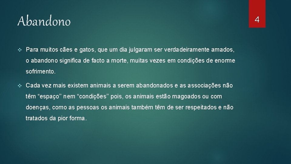 Abandono v Para muitos cães e gatos, que um dia julgaram ser verdadeiramente amados,