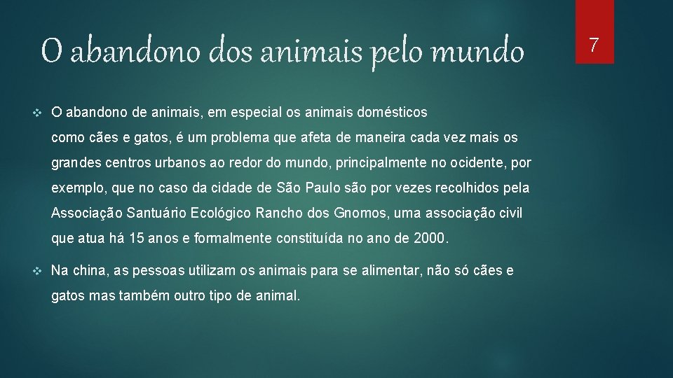 O abandono dos animais pelo mundo v O abandono de animais, em especial os