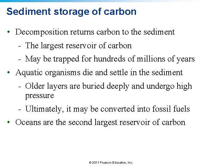 Sediment storage of carbon • Decomposition returns carbon to the sediment - The largest Sediment storage of carbon • Decomposition returns carbon to the sediment - The largest