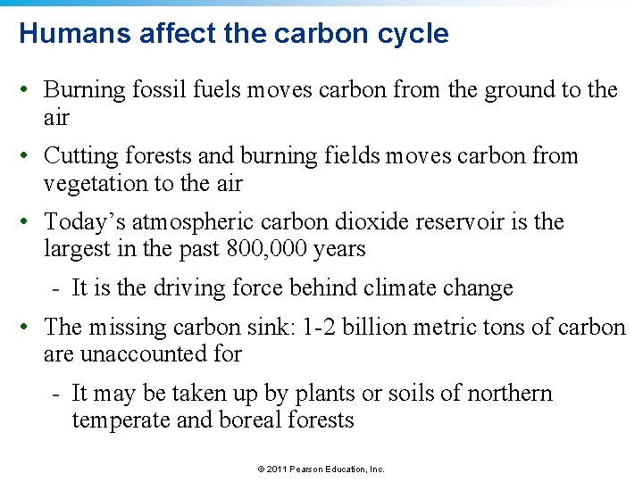 Humans affect the carbon cycle • Burning fossil fuels moves carbon from the ground Humans affect the carbon cycle • Burning fossil fuels moves carbon from the ground