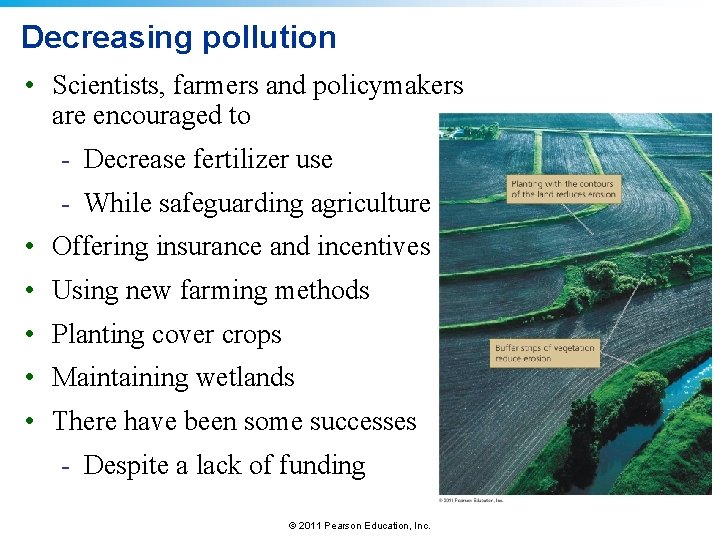 Decreasing pollution • Scientists, farmers and policymakers are encouraged to - Decrease fertilizer use Decreasing pollution • Scientists, farmers and policymakers are encouraged to - Decrease fertilizer use