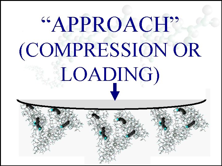 “APPROACH” (COMPRESSION OR LOADING) 