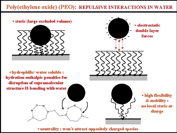 Poly(ethylene oxide) (PEO): REPULSIVE INTERACTIONS IN WATER • steric (large excluded volume) - -