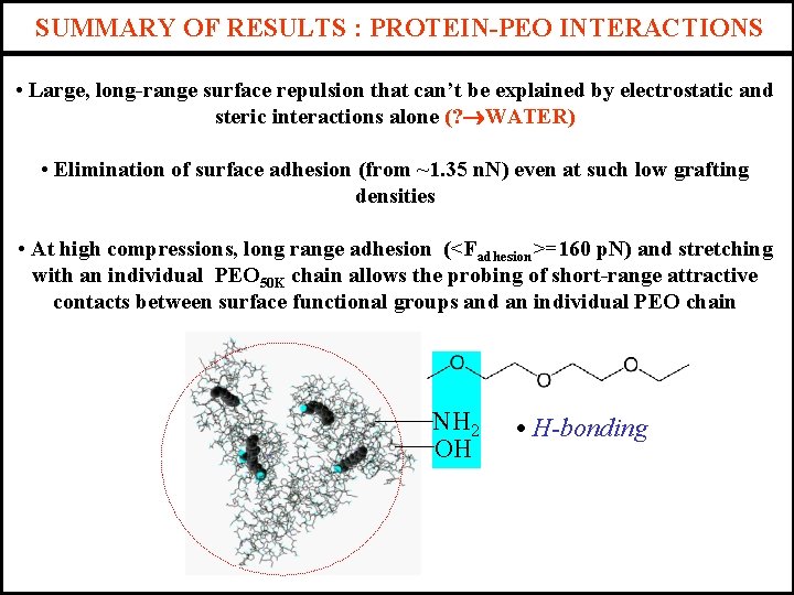 SUMMARY OF RESULTS : PROTEIN-PEO INTERACTIONS • Large, long-range surface repulsion that can’t be