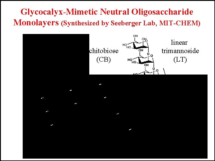 Glycocalyx-Mimetic Neutral Oligosaccharide Monolayers (Synthesized by Seeberger Lab, MIT-CHEM) chitobiose (CB) linear trimannoside (LT)