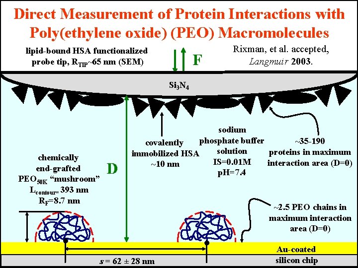 Direct Measurement of Protein Interactions with Poly(ethylene oxide) (PEO) Macromolecules lipid-bound HSA functionalized probe