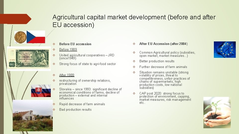 Agricultural capital market development (before and after EU accession) Before EU accession Before 1989