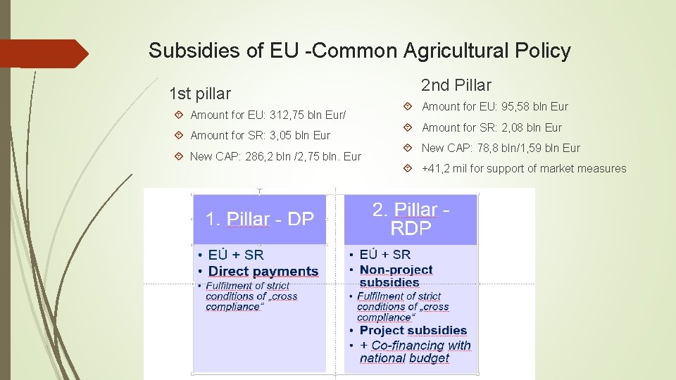 Subsidies of EU -Common Agricultural Policy 1 st pillar Amount for EU: 312, 75