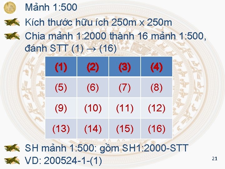 Mảnh 1: 500 Kích thước hữu ích 250 m x 250 m Chia mảnh