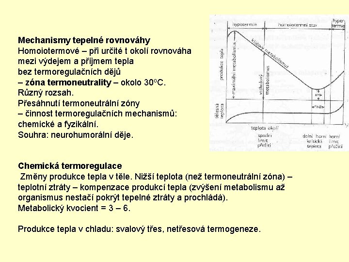 Mechanismy tepelné rovnováhy Homoiotermové – při určité t okolí rovnováha mezi výdejem a příjmem