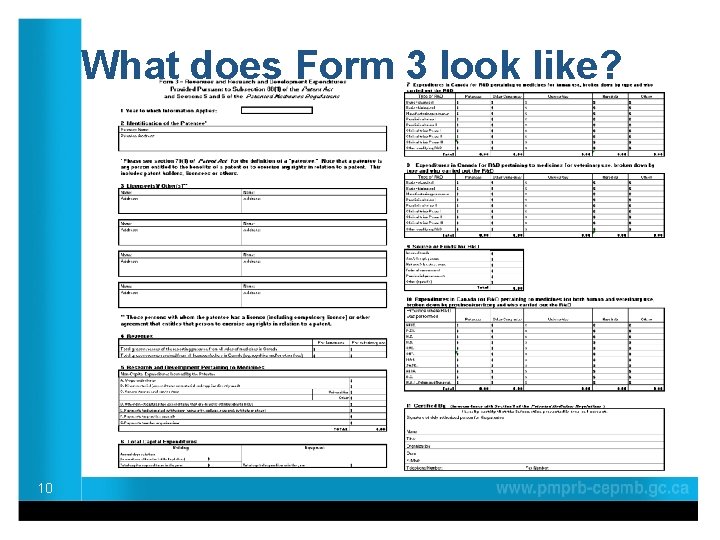 What does Form 3 look like? 10 