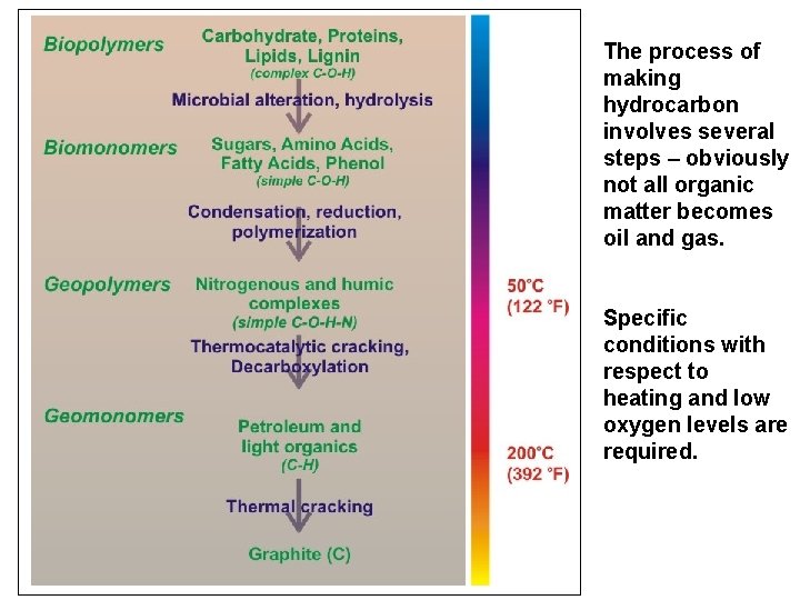 The process of making hydrocarbon involves several steps – obviously not all organic matter