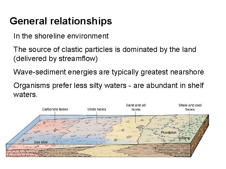 General relationships In the shoreline environment The source of clastic particles is dominated by